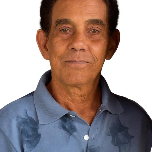 JOSÉ DE SOUSA PAULINO