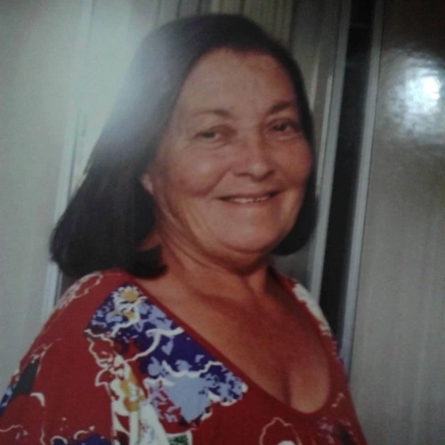 Vera Lucia Alves Peixoto