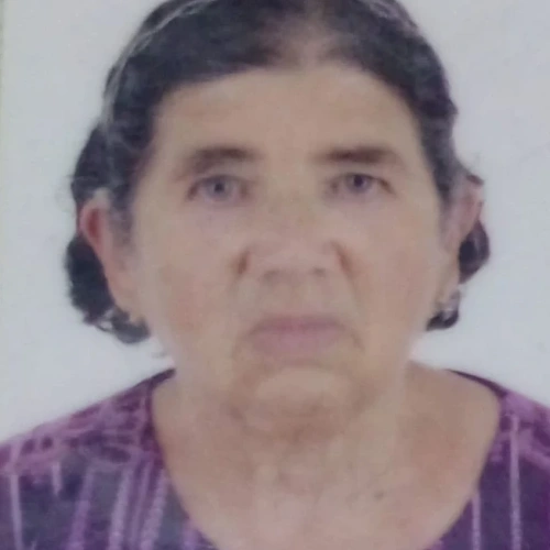Gercina Tavares de Castro