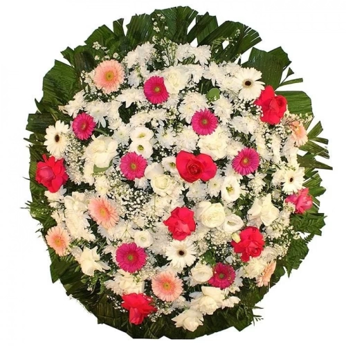 Coroas