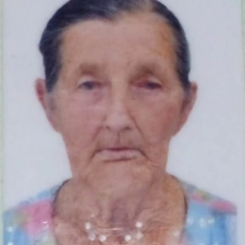 Maria Luiza Pereira