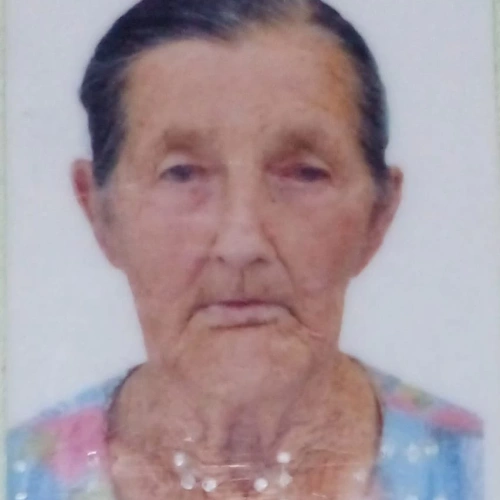 Maria Luiza Pereira