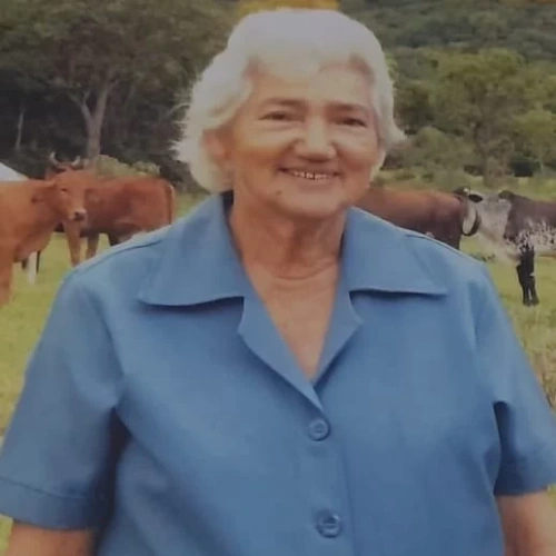 Maria de Lourdes Nogueira Soares